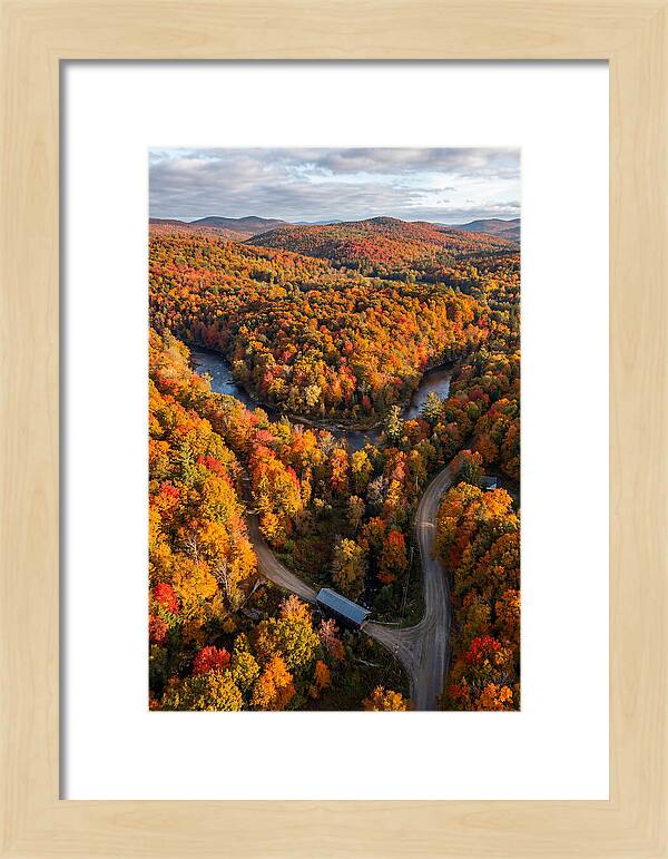 Aerial View Of Autumn Foliage