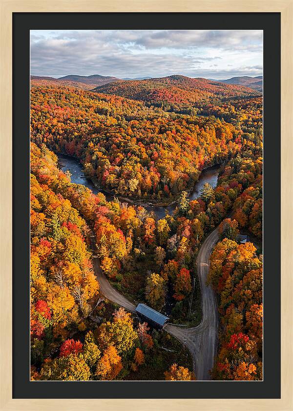 Aerial View Of Autumn Foliage