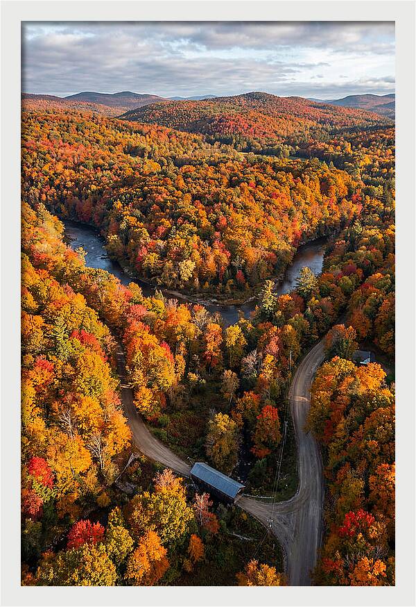 Aerial View Of Autumn Foliage