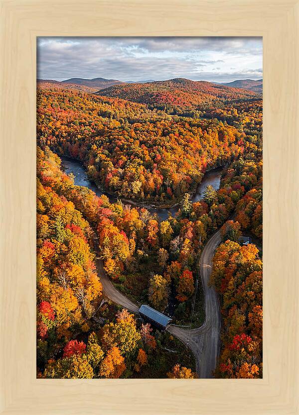Aerial View Of Autumn Foliage