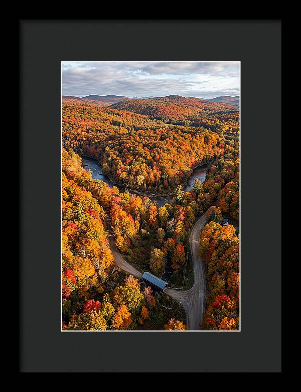 Aerial View Of Autumn Foliage