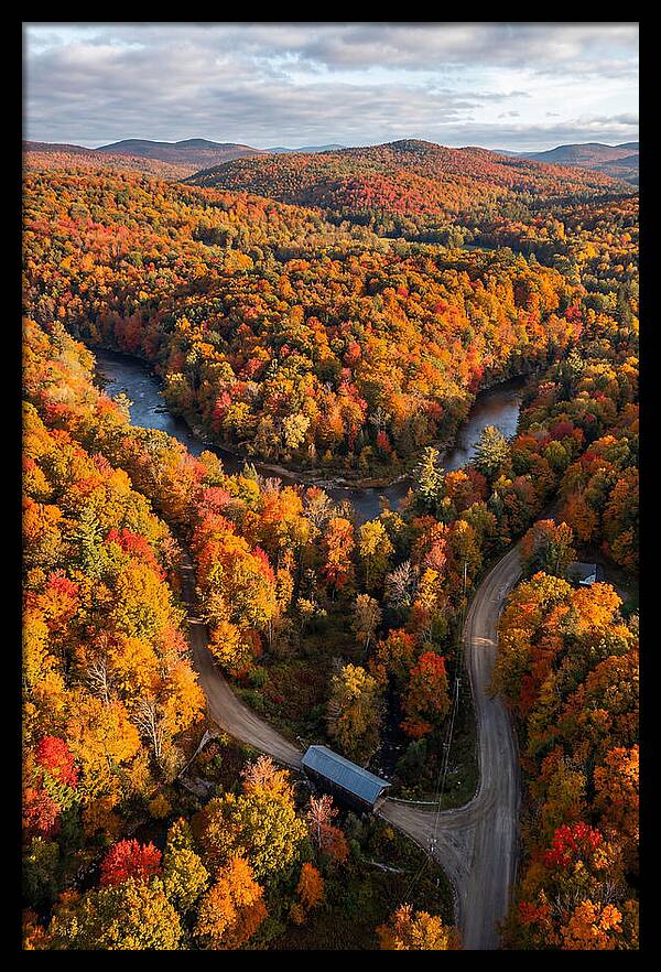Aerial View Of Autumn Foliage