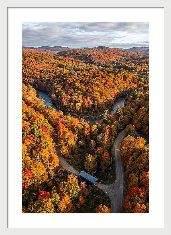 Aerial View Of Autumn Foliage