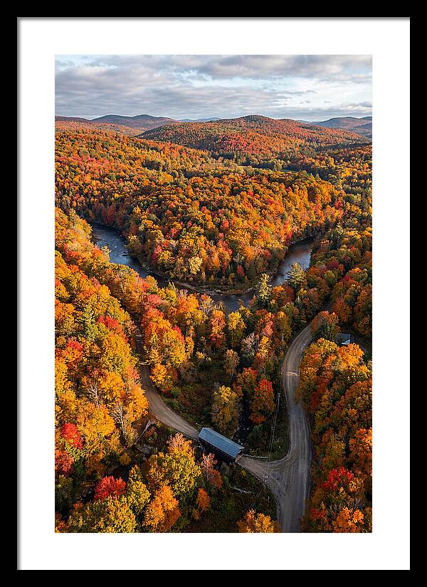 Aerial View Of Autumn Foliage