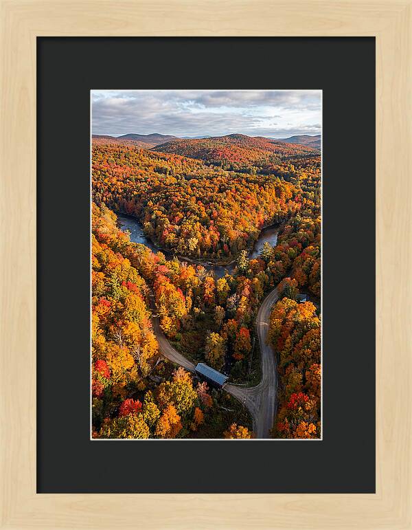 Aerial View Of Autumn Foliage