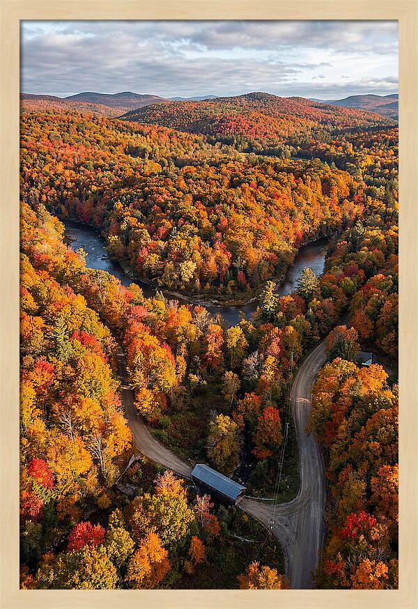 Aerial View Of Autumn Foliage