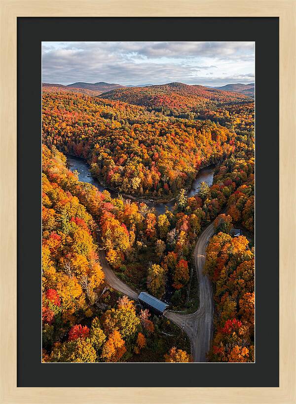 Aerial View Of Autumn Foliage