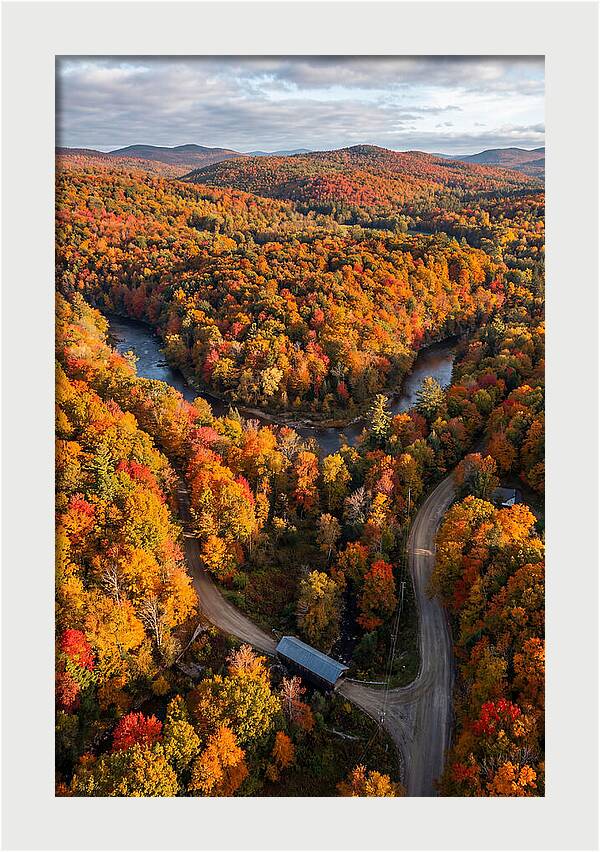 Aerial View Of Autumn Foliage