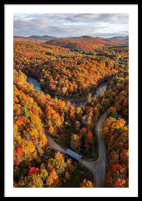 Aerial View Of Autumn Foliage