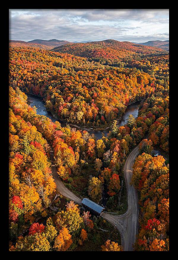 Aerial View Of Autumn Foliage