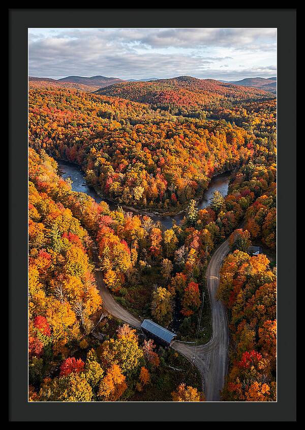 Aerial View Of Autumn Foliage