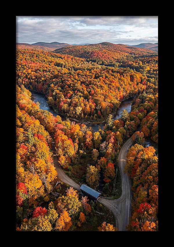 Aerial View Of Autumn Foliage