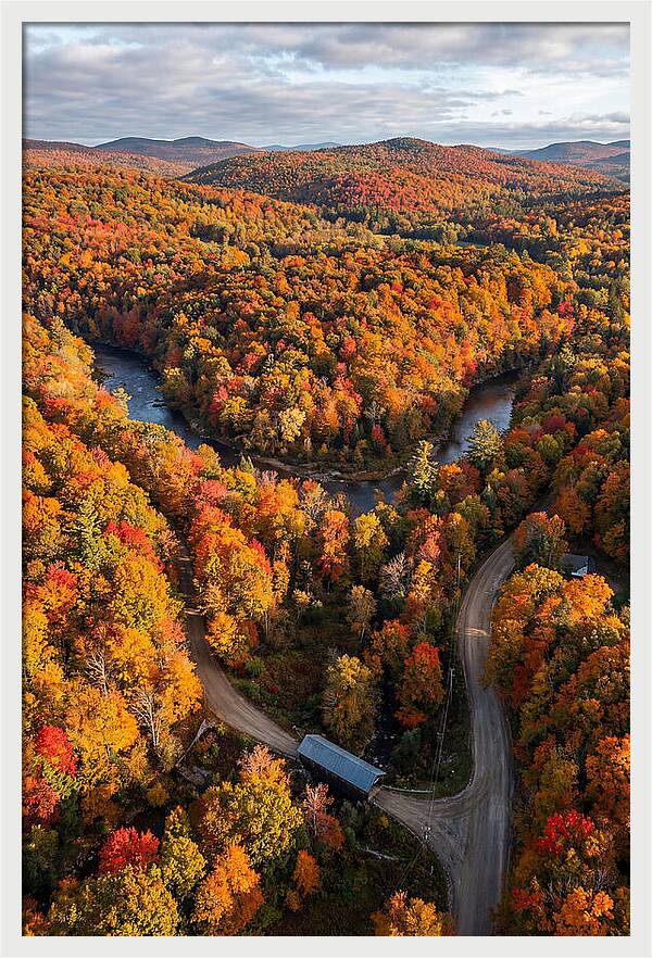 Aerial View Of Autumn Foliage