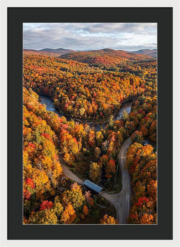 Aerial View Of Autumn Foliage