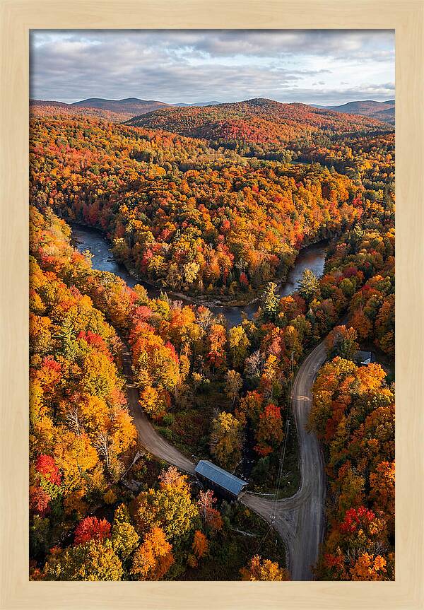 Aerial View Of Autumn Foliage