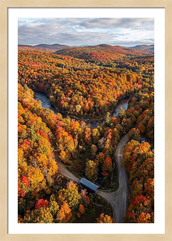 Aerial View Of Autumn Foliage