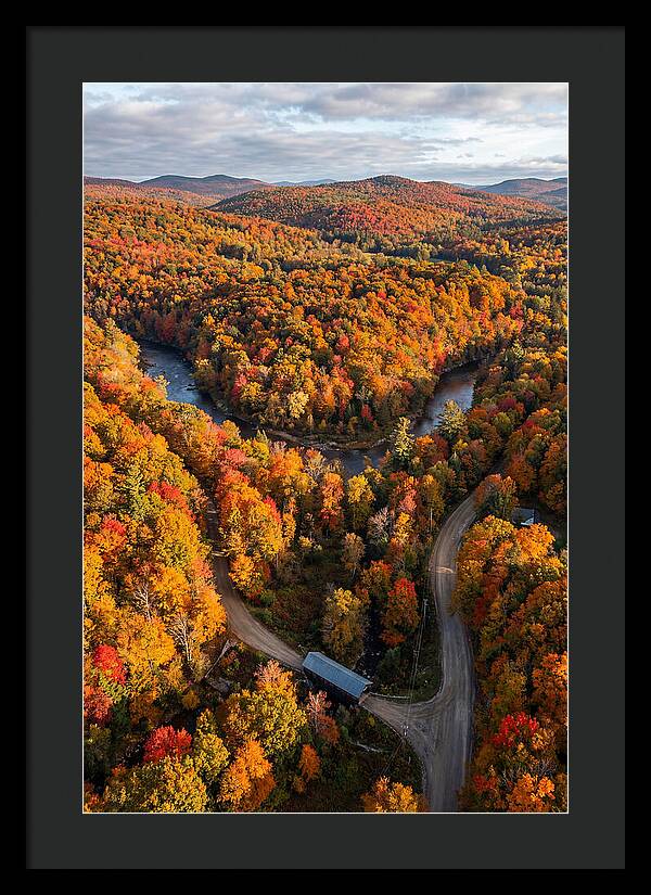 Aerial View Of Autumn Foliage