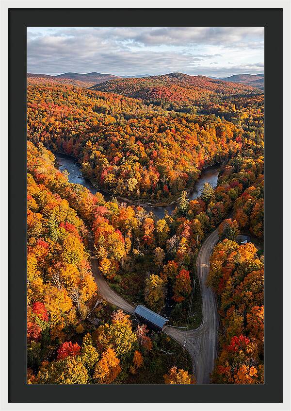 Aerial View Of Autumn Foliage