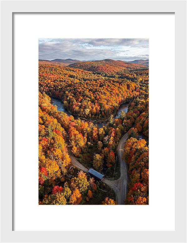 Aerial View Of Autumn Foliage