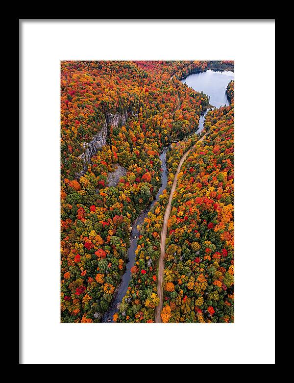 Aerial View Of Autumn Forest