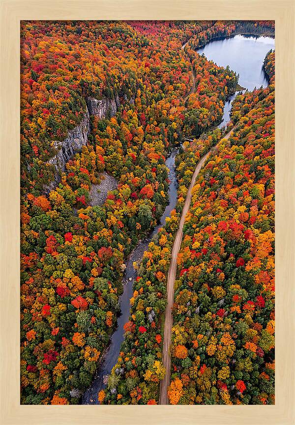 Aerial View Of Autumn Forest