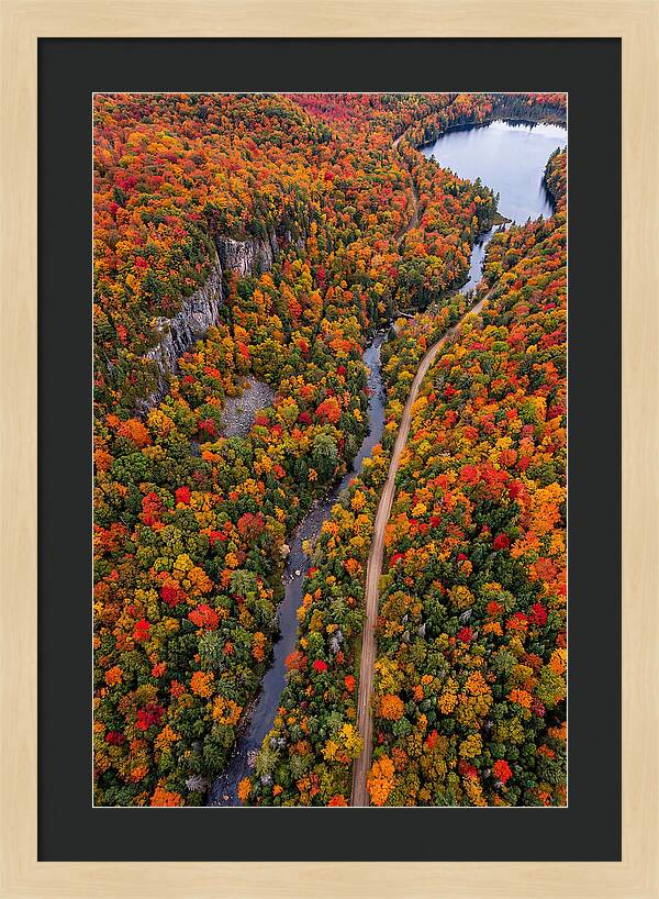 Aerial View Of Autumn Forest