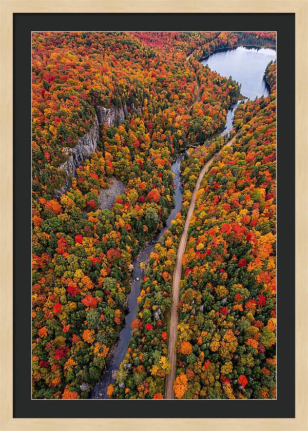 Aerial View Of Autumn Forest