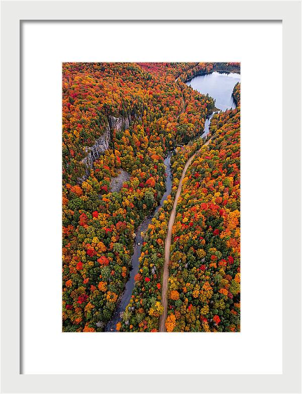 Aerial View Of Autumn Forest