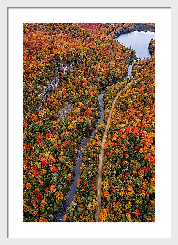 Aerial View Of Autumn Forest