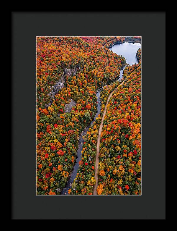 Aerial View Of Autumn Forest