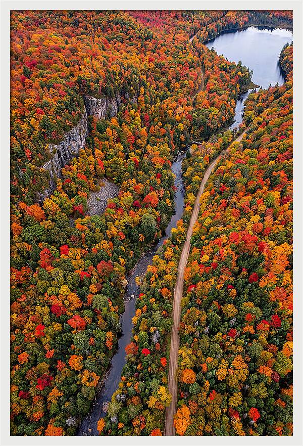 Aerial View Of Autumn Forest