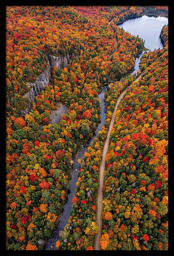 Aerial View Of Autumn Forest