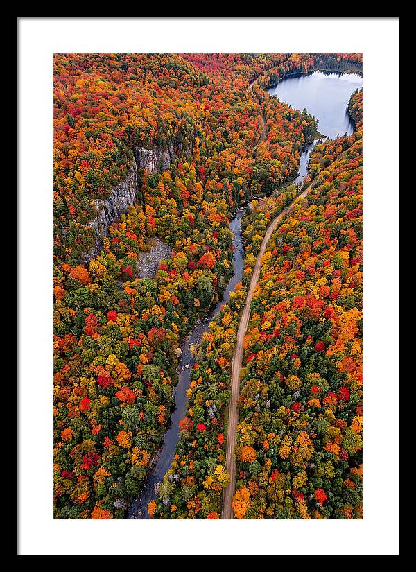 Aerial View Of Autumn Forest