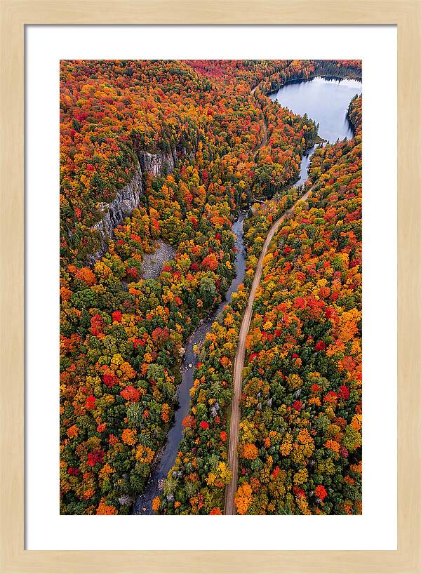 Aerial View Of Autumn Forest