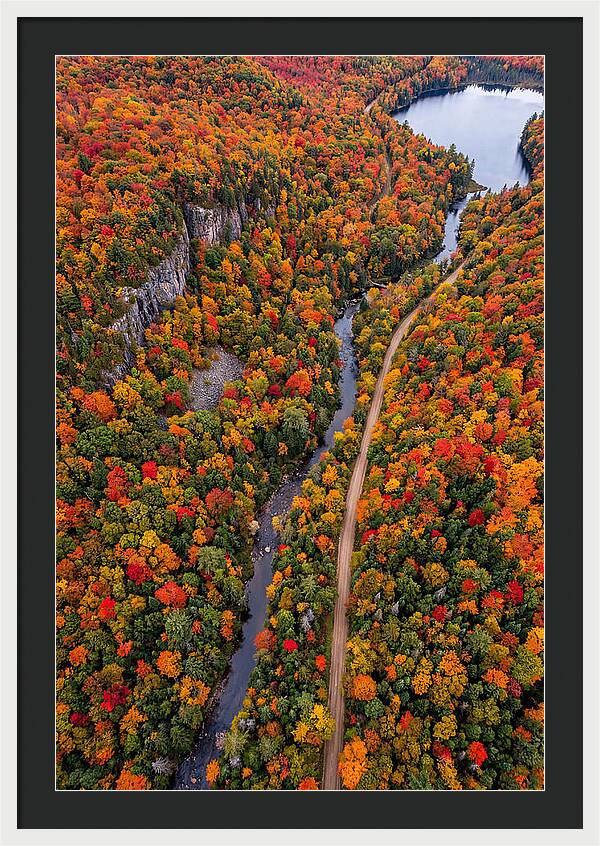 Aerial View Of Autumn Forest