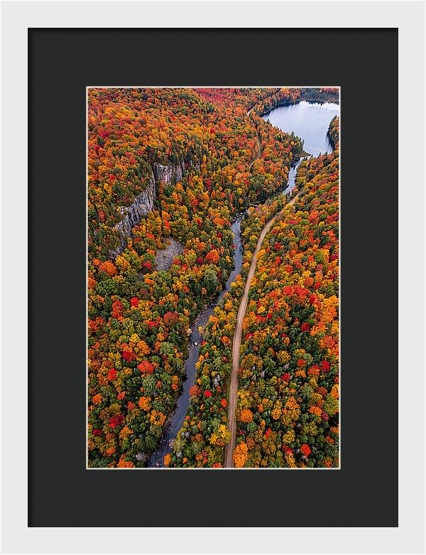 Aerial View Of Autumn Forest