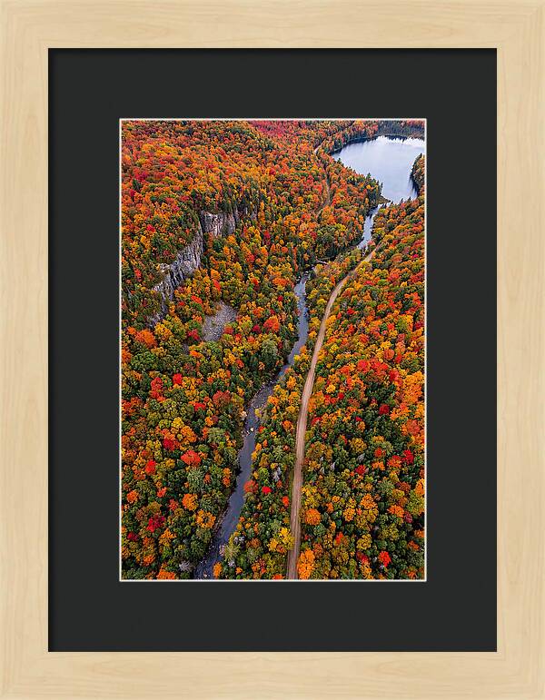 Aerial View Of Autumn Forest