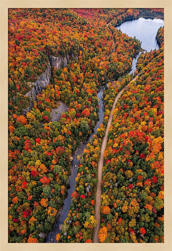 Aerial View Of Autumn Forest