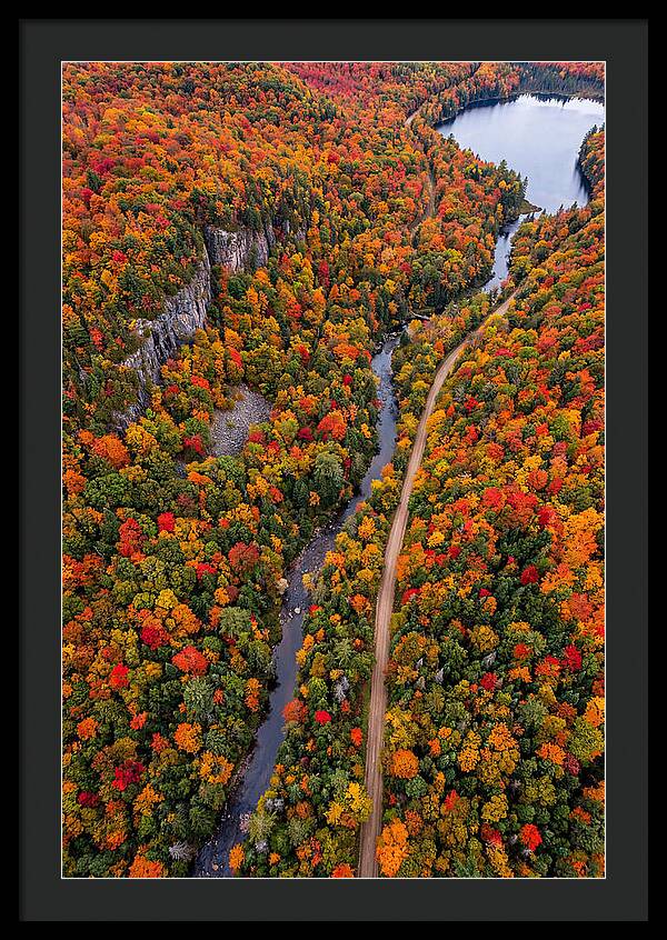 Aerial View Of Autumn Forest
