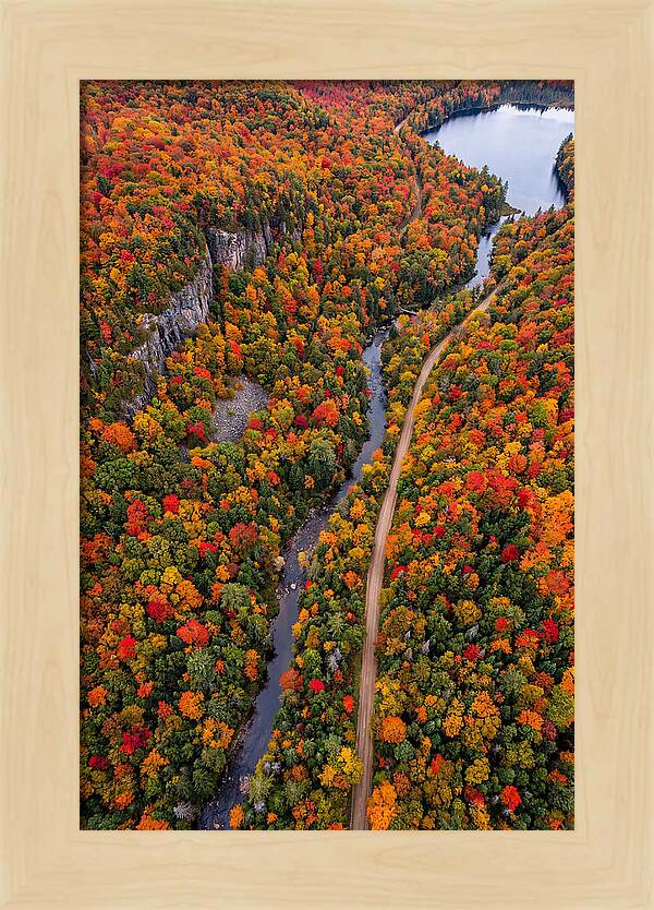 Aerial View Of Autumn Forest