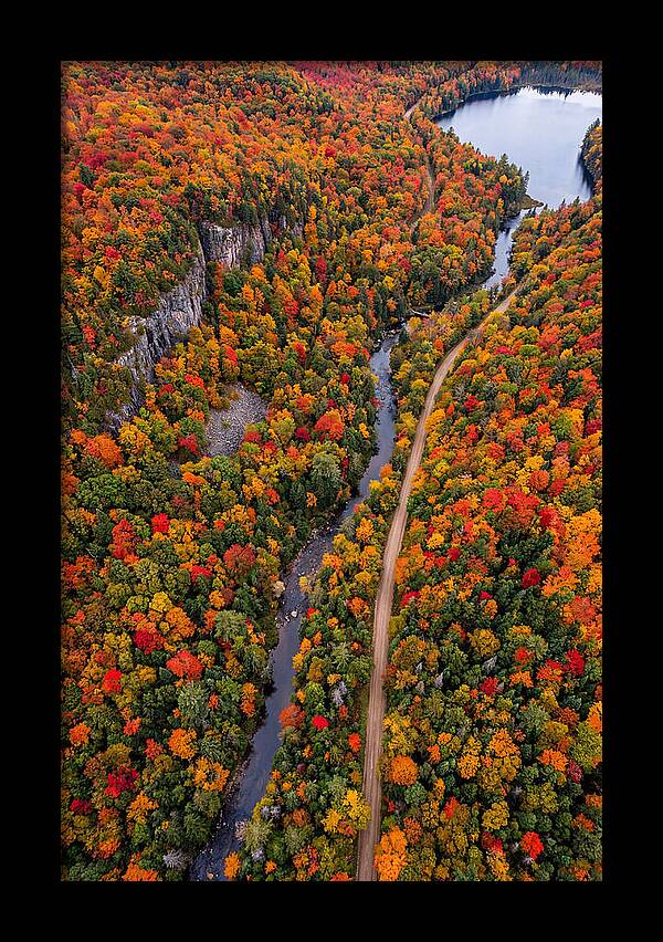 Aerial View Of Autumn Forest