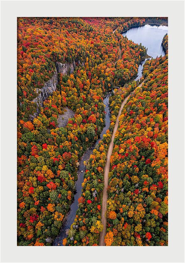 Aerial View Of Autumn Forest