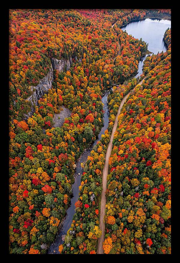 Aerial View Of Autumn Forest