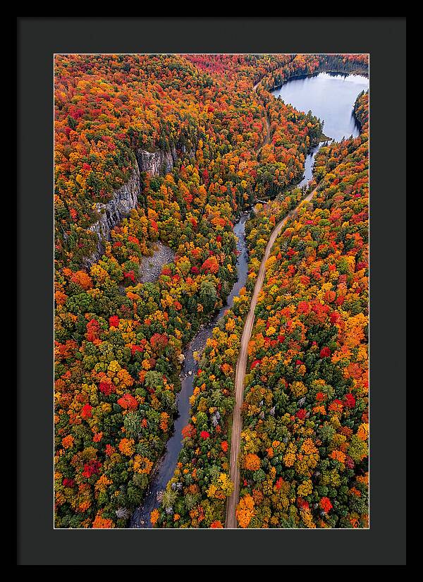 Aerial View Of Autumn Forest
