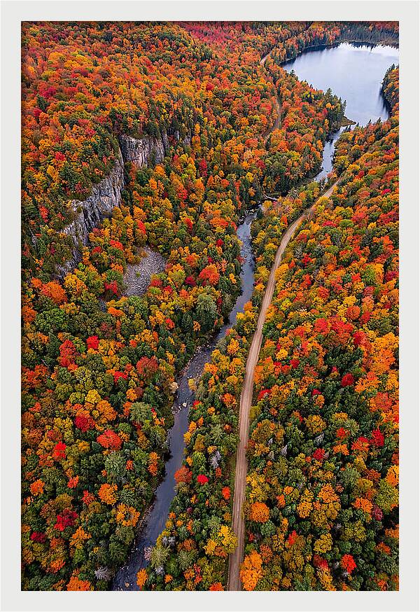 Aerial View Of Autumn Forest