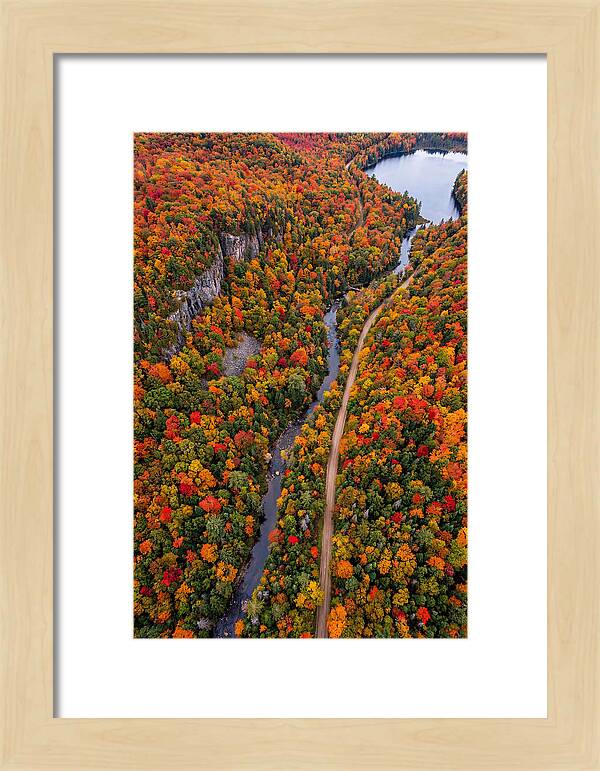 Aerial View Of Autumn Forest