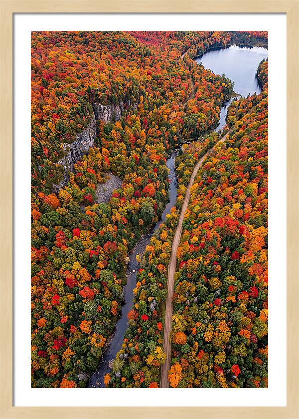 Aerial View Of Autumn Forest
