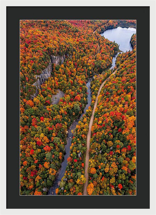 Aerial View Of Autumn Forest