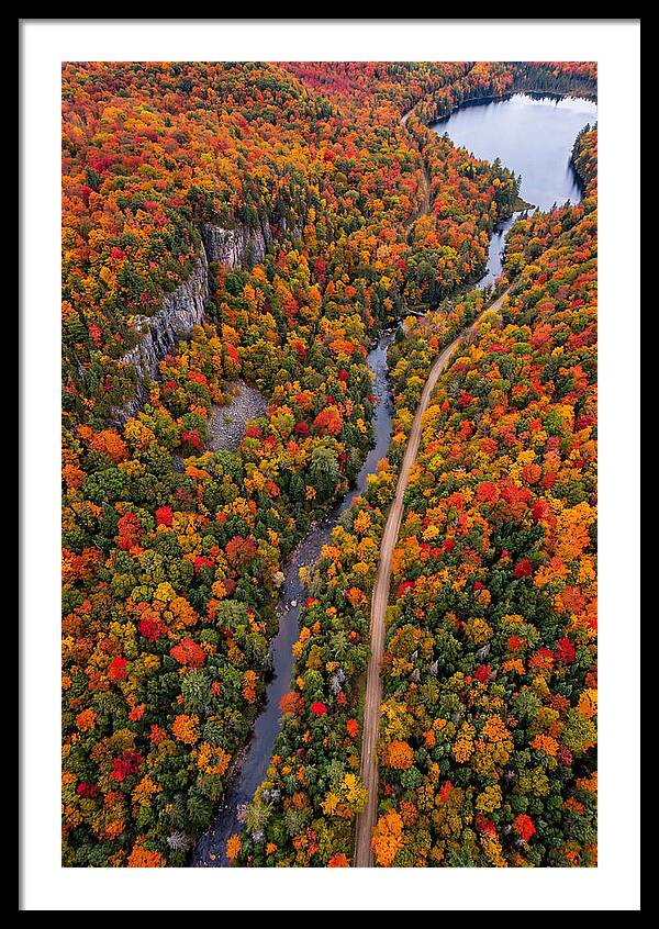 Aerial View Of Autumn Forest