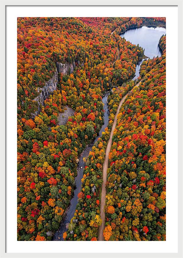Aerial View Of Autumn Forest